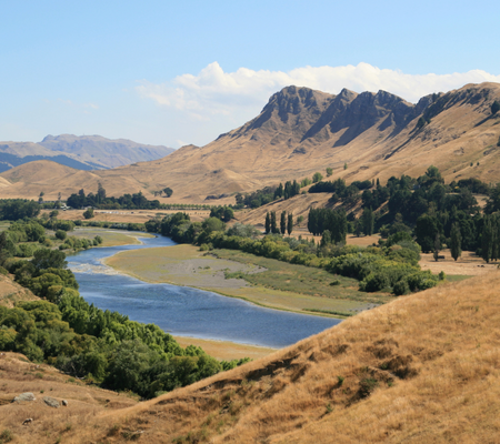 Louisa website Louisa website