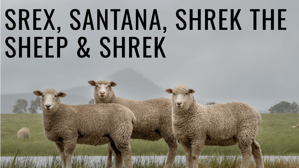 SREX, SANTANA, SHREK THE SHEEP & SHREK