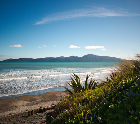 Flora website Flora website