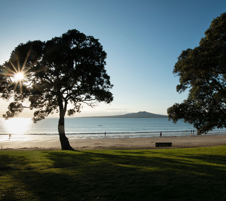 Venetia website Venetia website